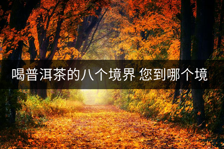 喝普洱茶的八個境界 您到哪個境界了？