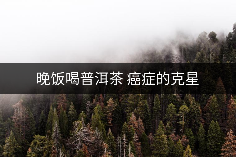 晚飯喝普洱茶 癌癥的克星