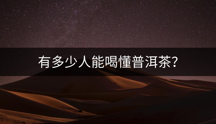 有多少人能喝懂普洱茶？