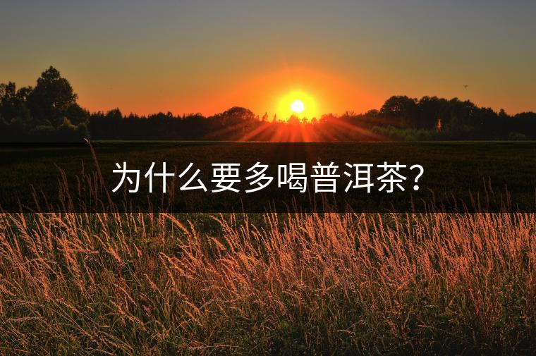 為什么要多喝普洱茶？