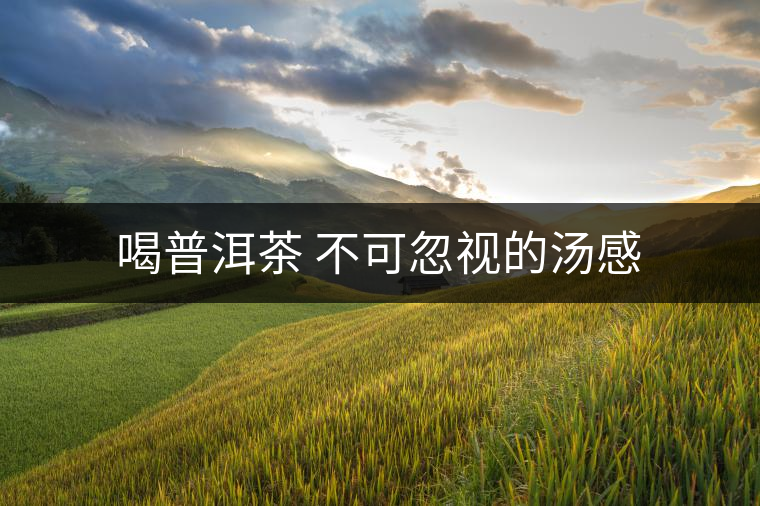 喝普洱茶 不可忽視的湯感