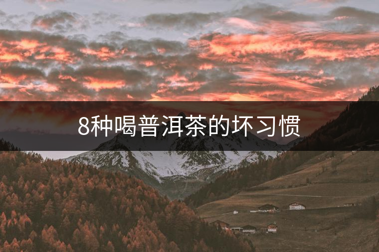 8種喝普洱茶的壞習(xí)慣 8種喝普洱茶的壞習(xí)慣