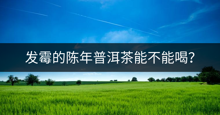 發(fā)霉的陳年普洱茶能不能喝？
