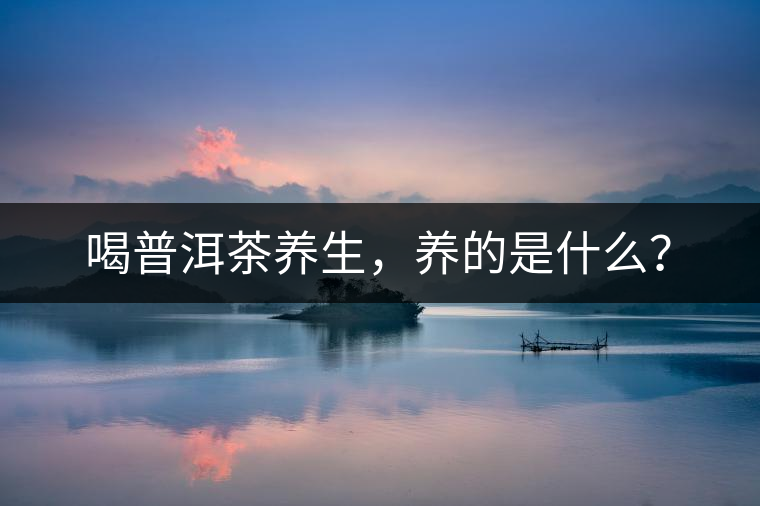 喝普洱茶養(yǎng)生，養(yǎng)的是什么？
