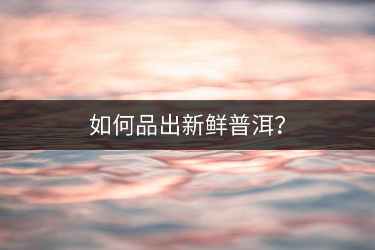 如何品出新鮮普洱？