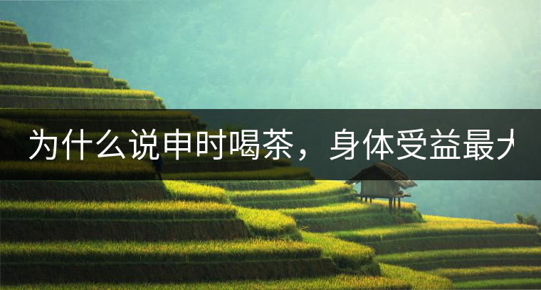 為什么說申時喝茶，身體受益最大？