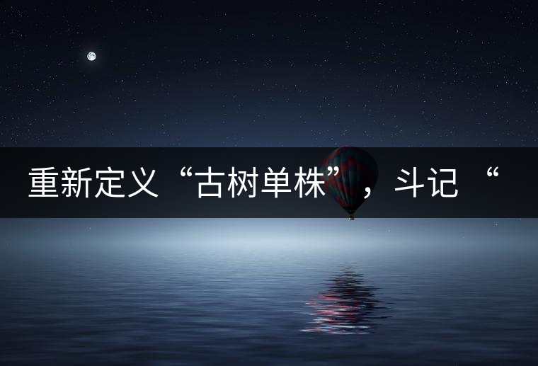重新定義“古樹單株”，斗記 “超級審評”有償招募告罄在即！