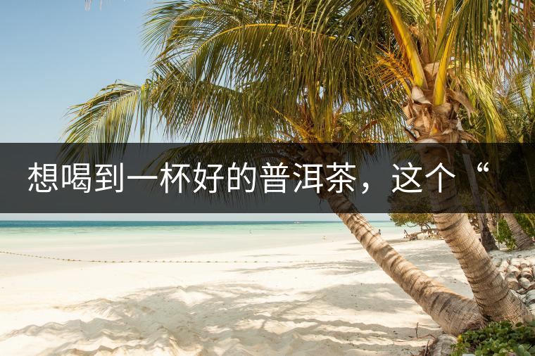 想喝到一杯好的普洱茶，這個(gè)“醒茶”步驟很關(guān)鍵