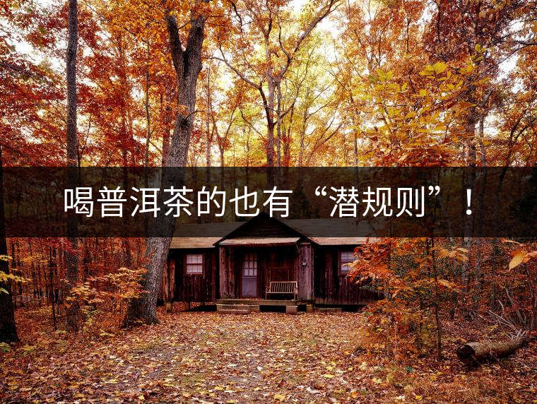 喝普洱茶的也有“潛規(guī)則”！