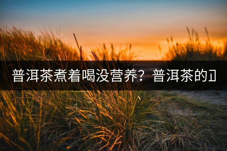 普洱茶煮著喝沒營養(yǎng)？普洱茶的正確煮法！