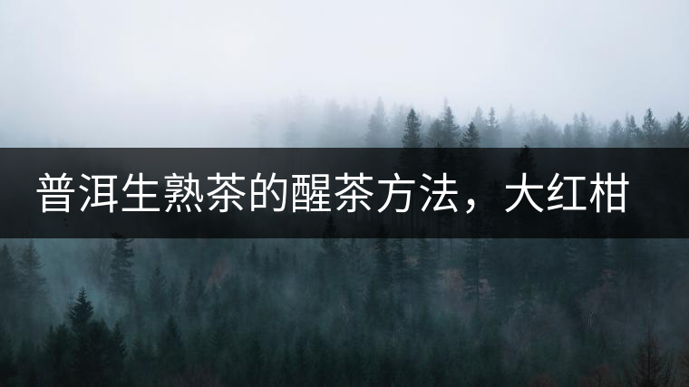 普洱生熟茶的醒茶方法，大紅柑與小青柑對比
