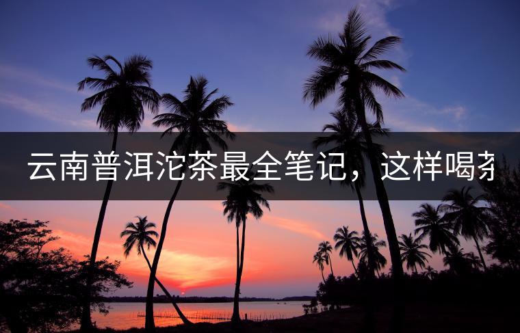 云南普洱沱茶最全筆記，這樣喝茶才更健康！