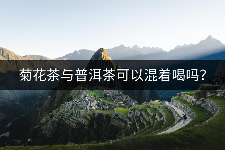 菊花茶與普洱茶可以混著喝嗎？