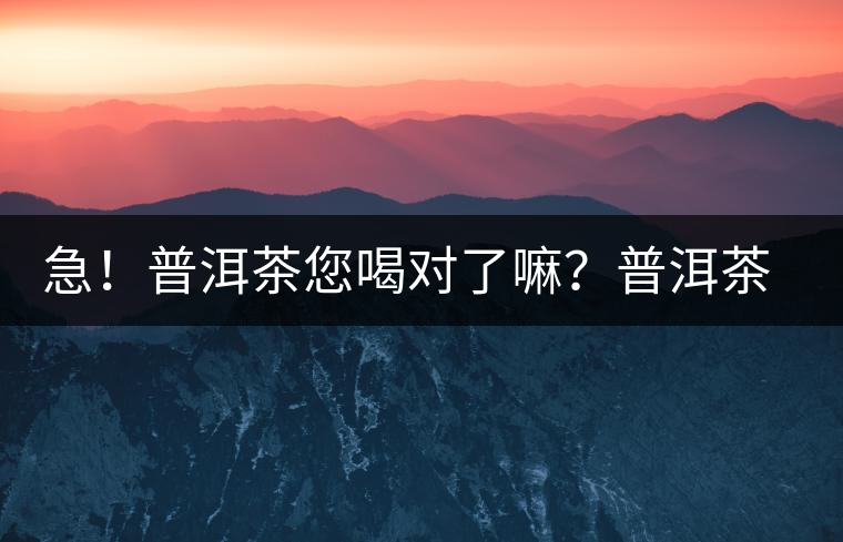 急！普洱茶您喝對(duì)了嘛？普洱茶的十八般武藝