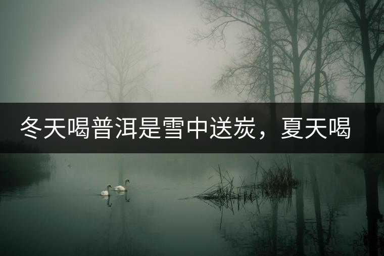 冬天喝普洱是雪中送炭，夏天喝就是火上澆油了？