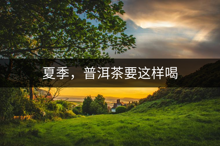 夏季，普洱茶要這樣喝
