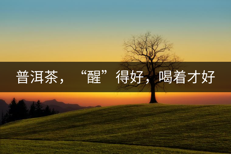 普洱茶，“醒”得好，喝著才好