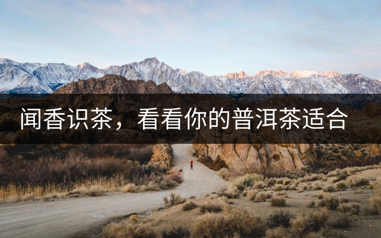 聞香識茶，看看你的普洱茶適合現(xiàn)在喝還是以后喝？