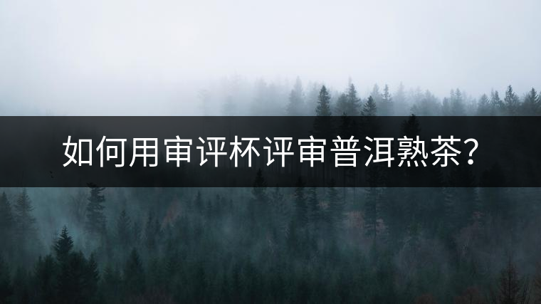 如何用審評(píng)杯評(píng)審普洱熟茶？