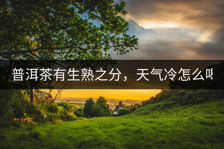普洱茶有生熟之分，天氣冷怎么喝？