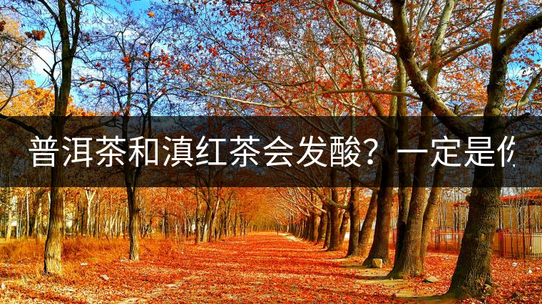 普洱茶和滇紅茶會(huì)發(fā)酸？一定是你這么做了！