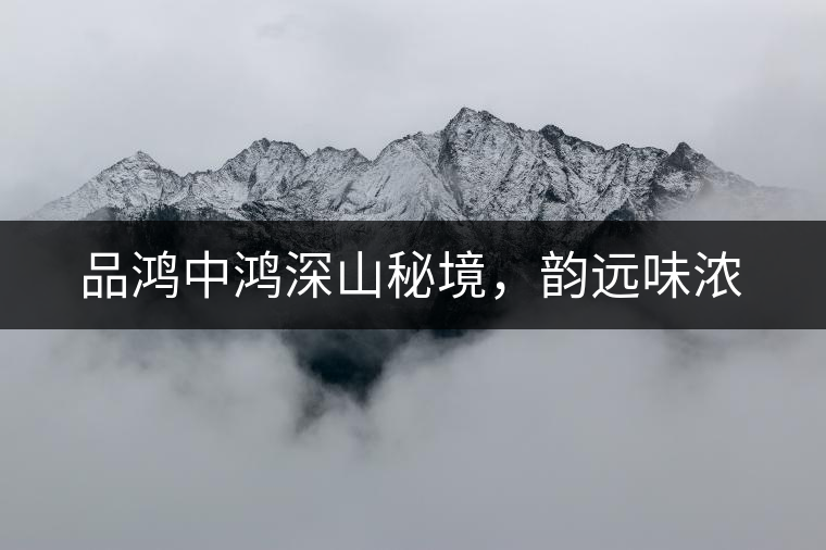 品鴻中鴻深山秘境，韻遠(yuǎn)味濃