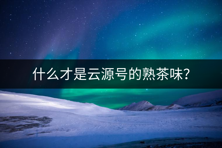 什么才是云源號的熟茶味？