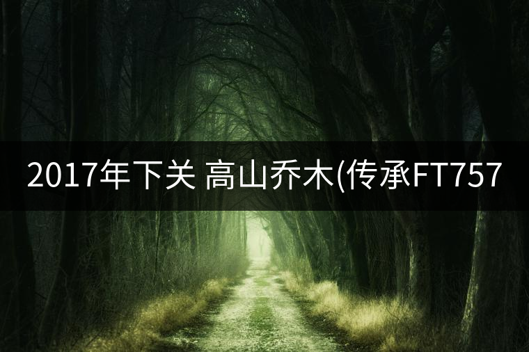 2017年下關(guān) 高山喬木(傳承FT7573)開(kāi)湯