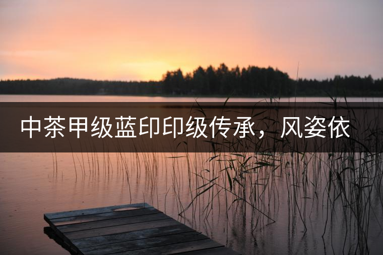 中茶甲級藍(lán)印印級傳承，風(fēng)姿依舊