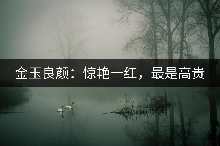 金玉良顏：驚艷一紅，最是高貴