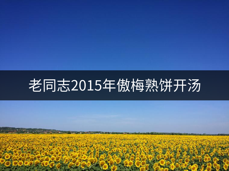 老同志2015年傲梅熟餅開湯
