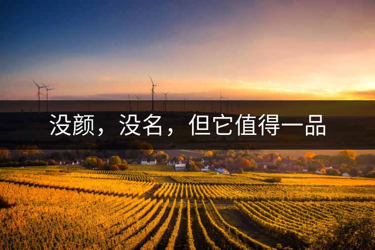 沒(méi)顏，沒(méi)名，但它值得一品