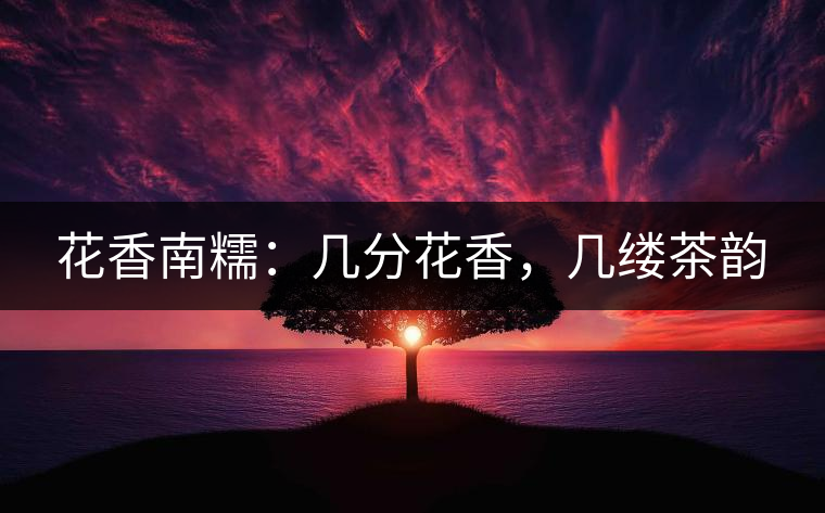 花香南糯：幾分花香，幾縷茶韻