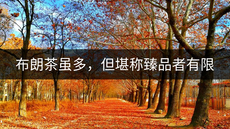 布朗茶雖多，但堪稱臻品者有限