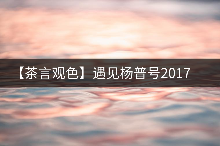 【茶言觀色】遇見(jiàn)楊普號(hào)2017年千山之外