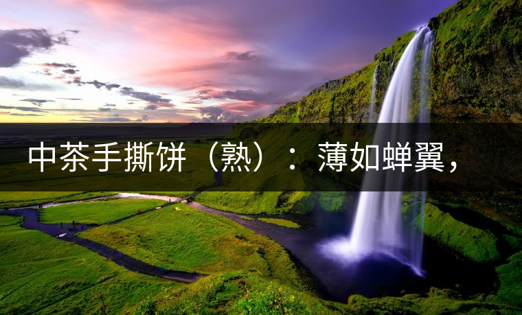中茶手撕餅（熟）：薄如蟬翼，翩若驚鴻