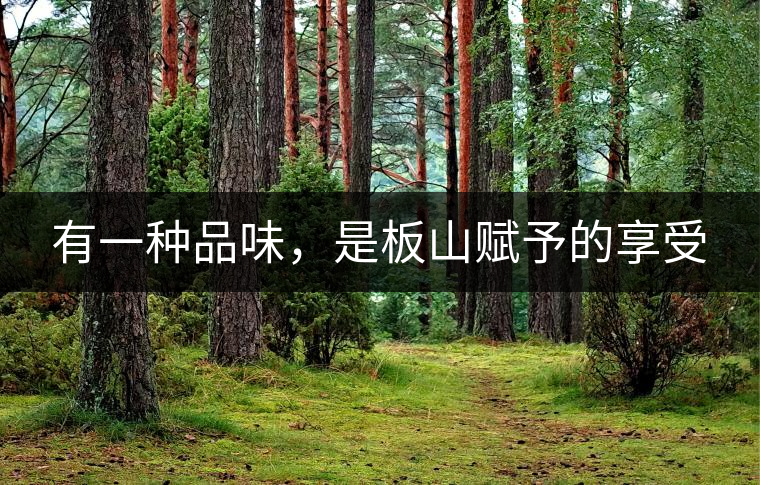 有一種品味，是板山賦予的享受