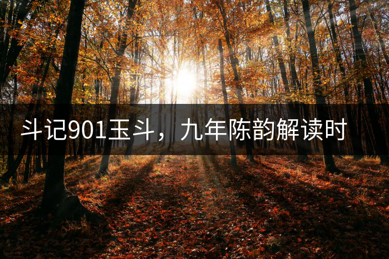 斗記901玉斗，九年陳韻解讀時間之味