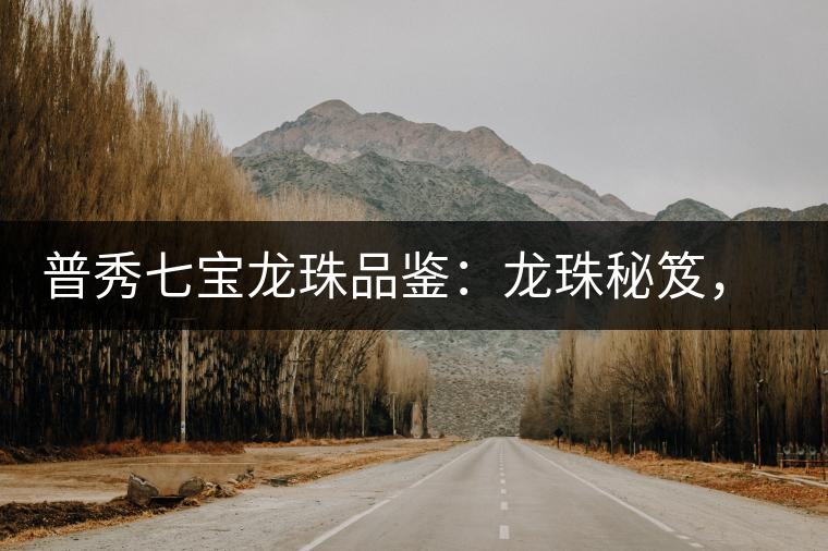 普秀七寶龍珠品鑒：龍珠秘笈，一沏喝成