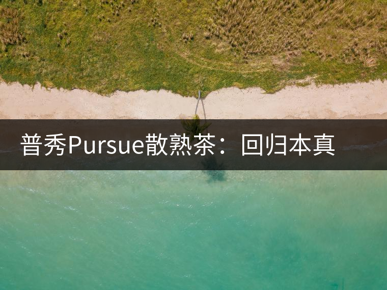 普秀Pursue散熟茶：回歸本真，一款高性價比口糧散熟茶