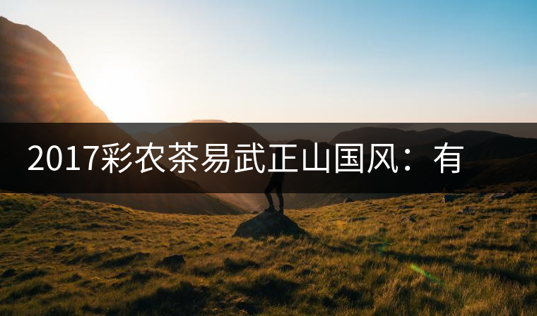 2017彩農茶易武正山國風：有茶韻，亦有國風