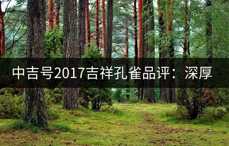 中吉號(hào)2017吉祥孔雀品評：深厚飽滿