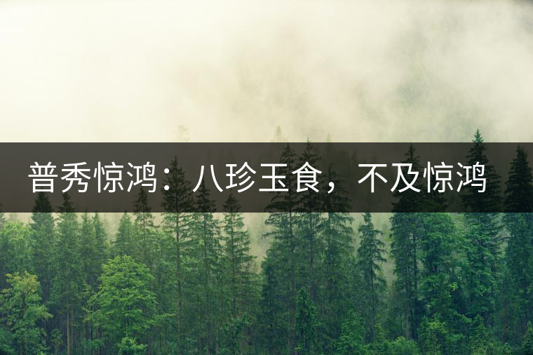 普秀驚鴻：八珍玉食，不及驚鴻一湯