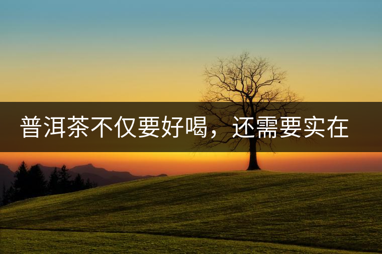 普洱茶不僅要好喝，還需要實在和大氣