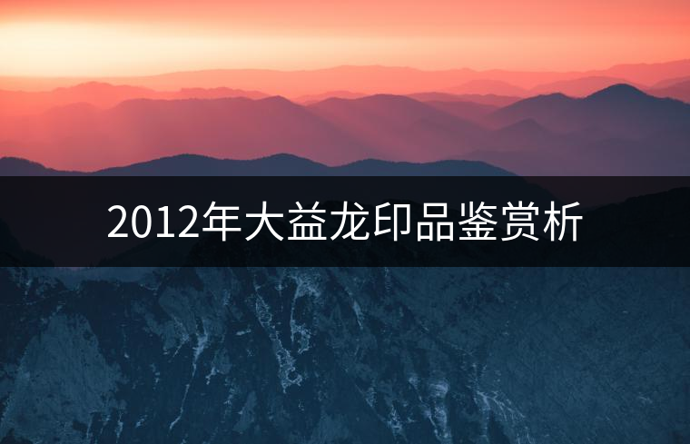 2012年大益龍印品鑒賞析