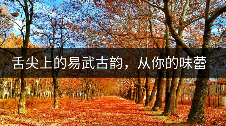 舌尖上的易武古韻，從你的味蕾路過