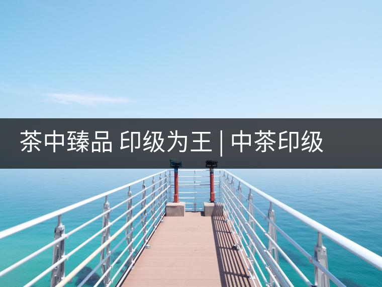 茶中臻品 印級為王 | 中茶印級：值得收藏的普洱茶