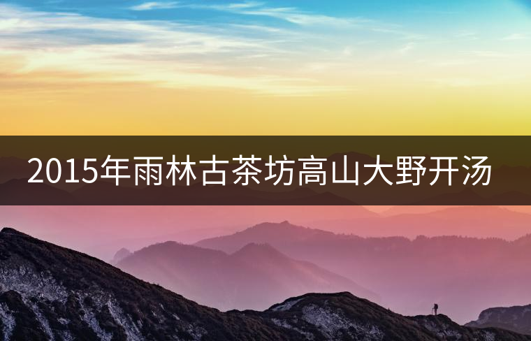 2015年雨林古茶坊高山大野開湯品鑒