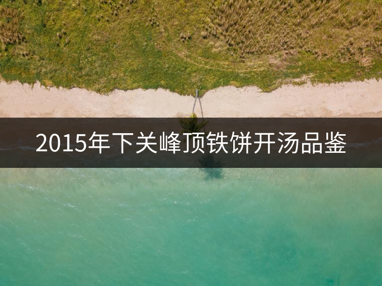2015年下關峰頂鐵餅開湯品鑒