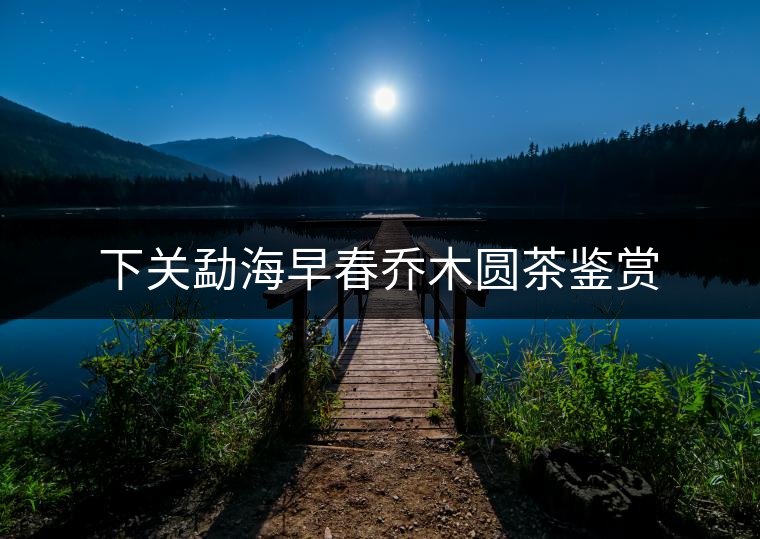 下關(guān)勐海早春喬木圓茶鑒賞 下關(guān)勐海早春喬木圓茶鑒賞